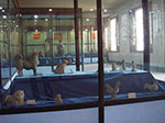 IMGP5269.jpg