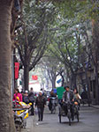IMGP5280.jpg