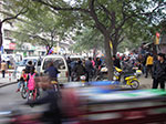 IMGP5303.jpg