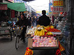 IMGP5322.jpg