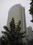 IMGP5342.jpg