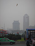 IMGP5344.jpg