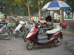 IMGP5351.jpg