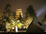 IMGP5374.jpg