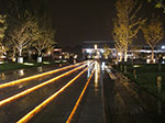 IMGP5405.jpg