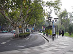 IMGP5510.jpg