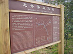 IMGP5533.jpg