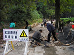 IMGP5561.jpg