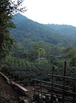 IMGP5572.jpg