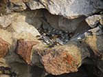 IMGP5662.jpg