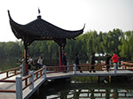 IMGP5666.jpg
