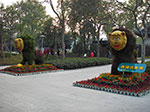 IMGP5730.jpg