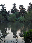 IMGP5734.jpg