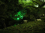 IMGP5747.jpg