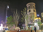 IMGP5815.jpg