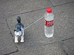 IMGP5882.jpg