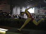 IMGP6161.jpg