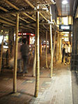 IMGP6180.jpg