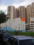 IMGP6335.jpg