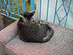 IMGP6347.jpg