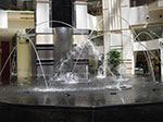 IMGP6385.jpg