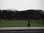 IMGP6411.jpg