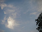 IMGP6416.jpg