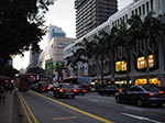 IMGP6419.jpg