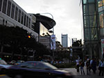 IMGP6421.jpg