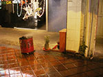 IMGP6437.jpg