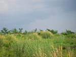 IMGP6583.jpg