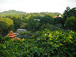 IMGP6728.jpg