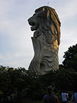 IMGP6738.jpg