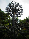 IMGP6755.jpg