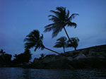 IMGP6783.jpg