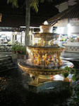 IMGP6808.jpg