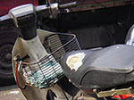 IMGP6951.jpg