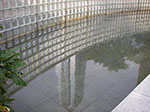 IMGP7017.jpg