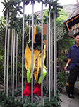 IMGP7037.jpg