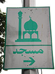 IMGP7138.jpg