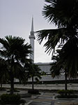 IMGP7142.jpg