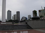 IMGP7152.jpg