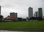 IMGP7155.jpg