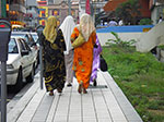 IMGP7187.jpg