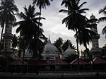 IMGP7198.jpg