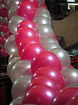 IMGP7229.jpg
