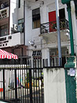 IMGP7235.jpg
