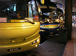 IMGP7245.jpg
