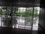IMGP7330.jpg