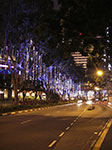 IMGP7376.jpg